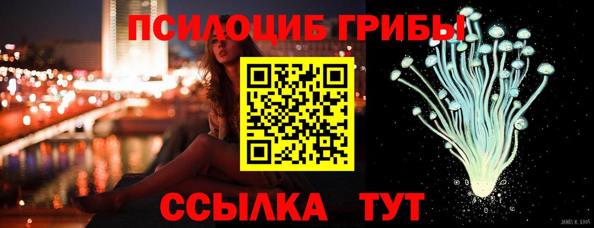 Видное  Псилоцибиновые грибы мицелий  Псилоцибиновые грибы MAGIC MUSHROOMS  даркнет сайт  Вход с VPN 