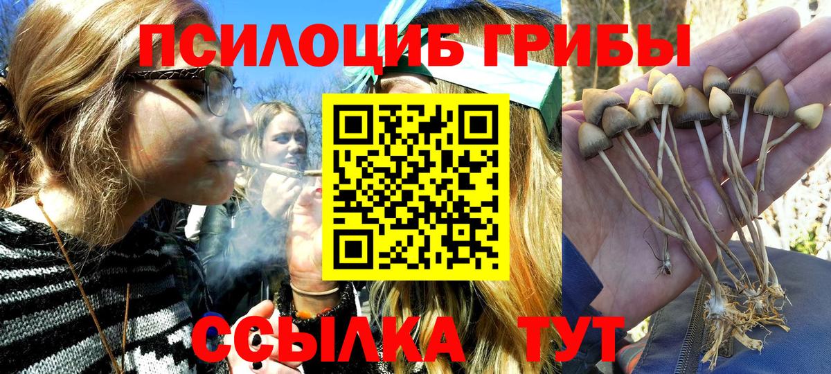 Псилоцибиновые грибы прущие грибы Видное