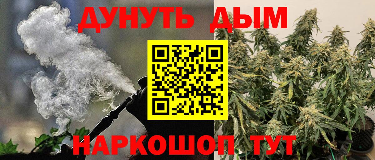 Каннабис планчик  Бошки Шишки White Widow  Видное  Канабис OG Kush  Вход с VPN 